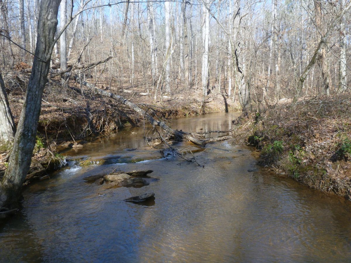 Kingfisher Creek