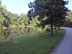 Pond On Jefferson River Rd